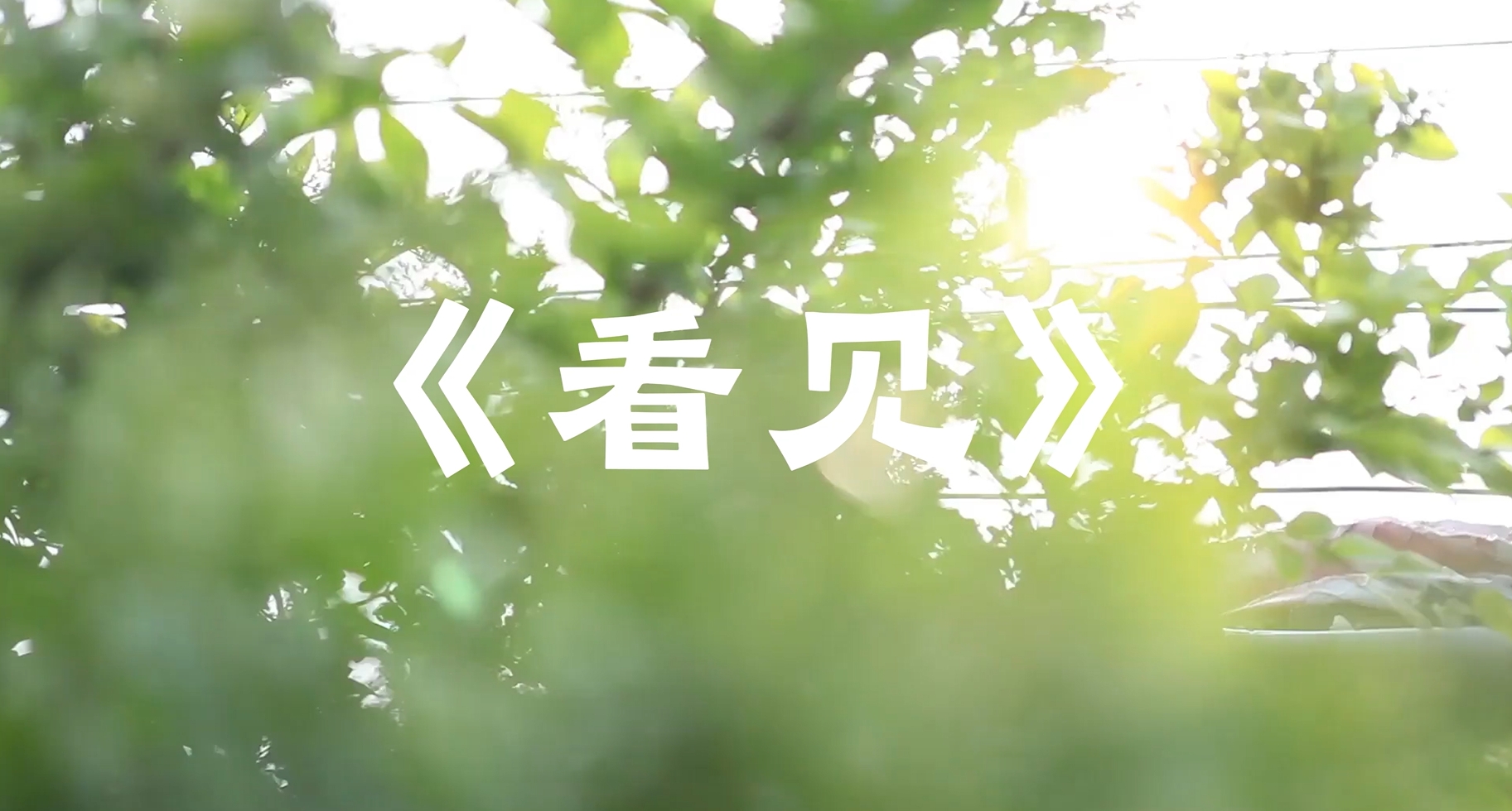 《看见》我们的教育