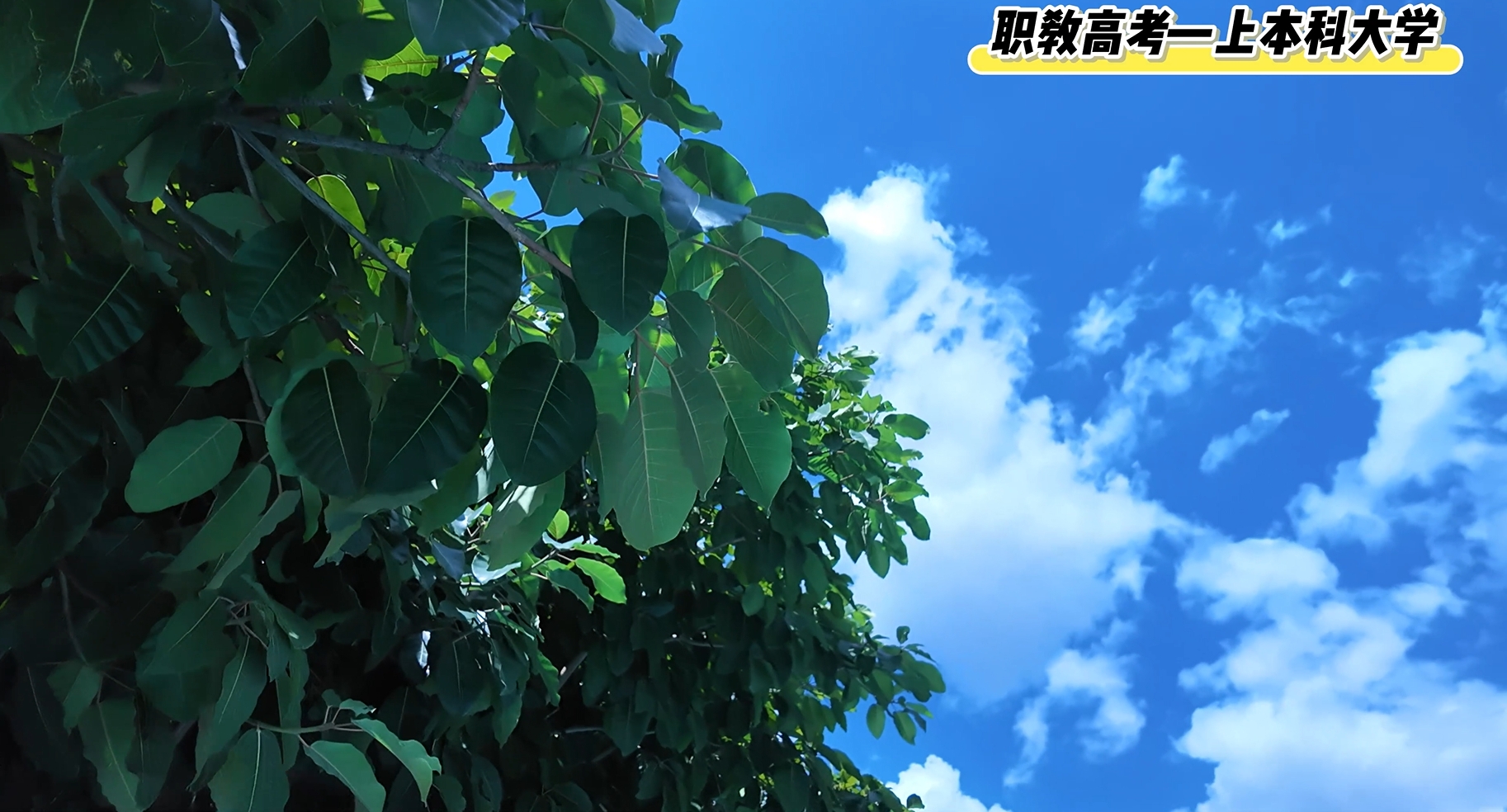 中考分数不该是梦想的终点